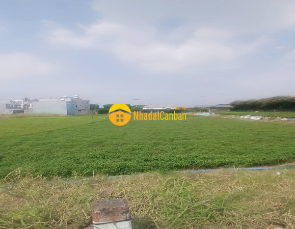 Bán đất mặt tiền lê thị mai xtt 6 cũ, xuân thới sơn, hóc môn, 3803m2, ngang 42m, giá rẻ.