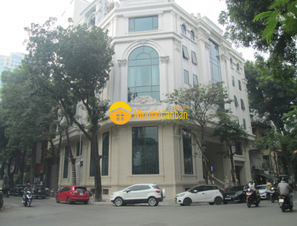 Chỉ 300 triệum2, lô góc 350m2 mặt phố trần thủ độ sầm uất gần đường vành đai 3. lh 0989626116