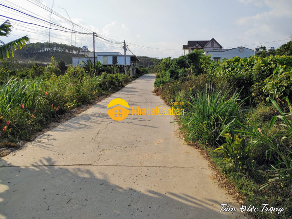 Bán đất 6.2mx15m,75m thổ cư chỉ 800 triệuxã bình thạnh,đức trọng,lâm đồng